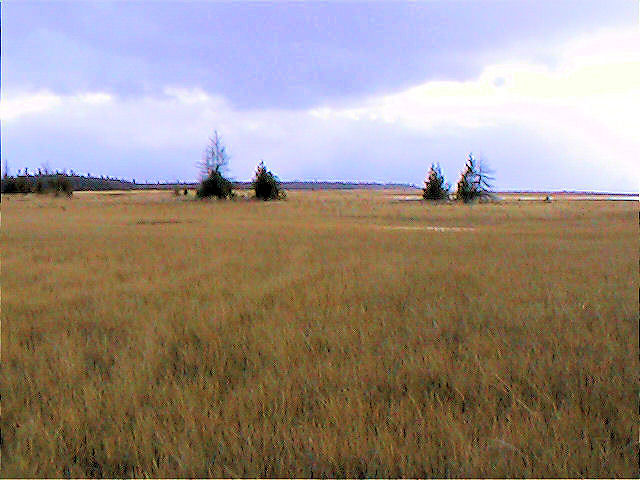 01_00078.jpg