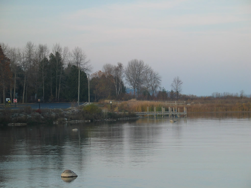 Harbor