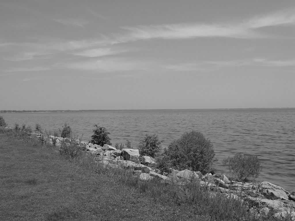 06-02-01.JPG