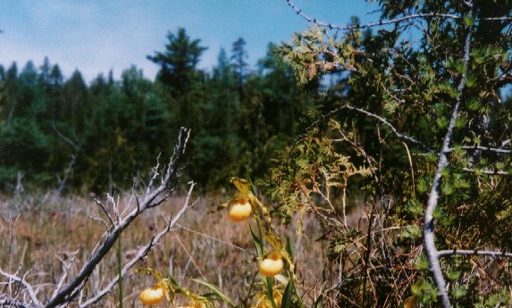 06_1.jpg