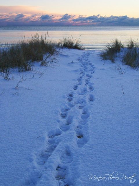 Tracks to Lake Huron