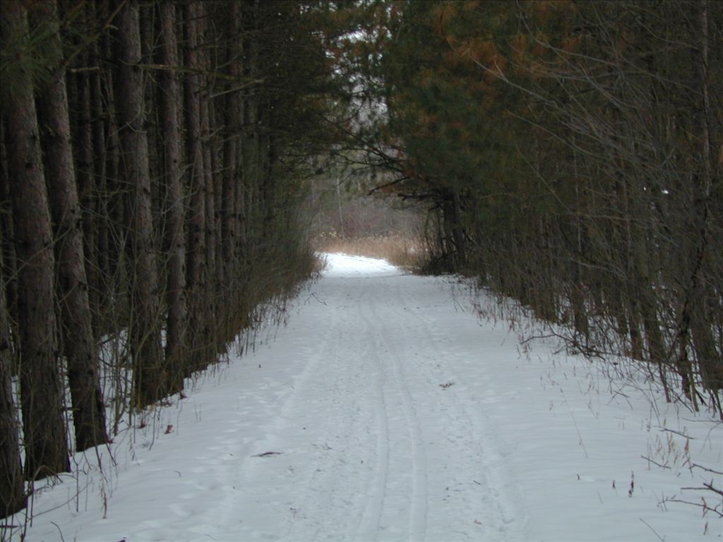 Eagle Run Trails