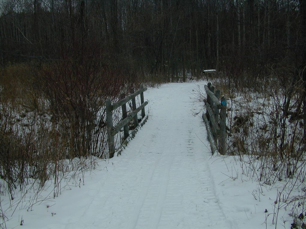 Eagle Run Trails