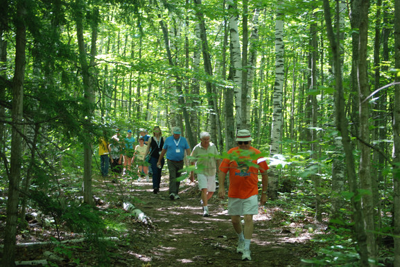 Hiking