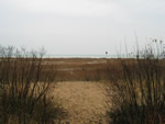 04-03-02.JPG