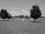 06-02-02.JPG