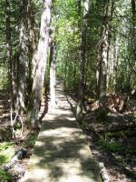 Cheboygan State Park Trail Cheboygan State Park Trail