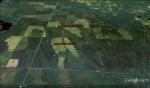 jack_pine_delta1.jpg
