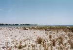 misery_bay_cobble_beach.jpg