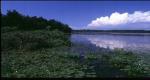 Onaway State Park Trail Onaway State Park Trail