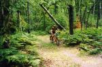 Chippewa Hills Pathway