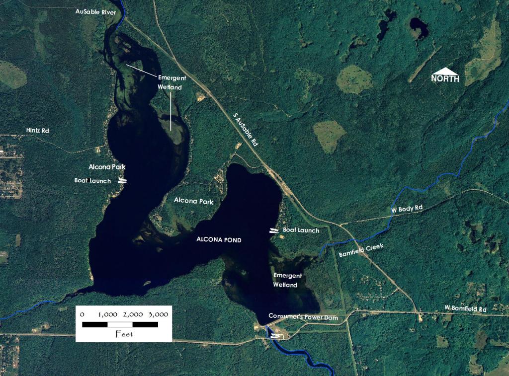 alcona_pond.jpg
