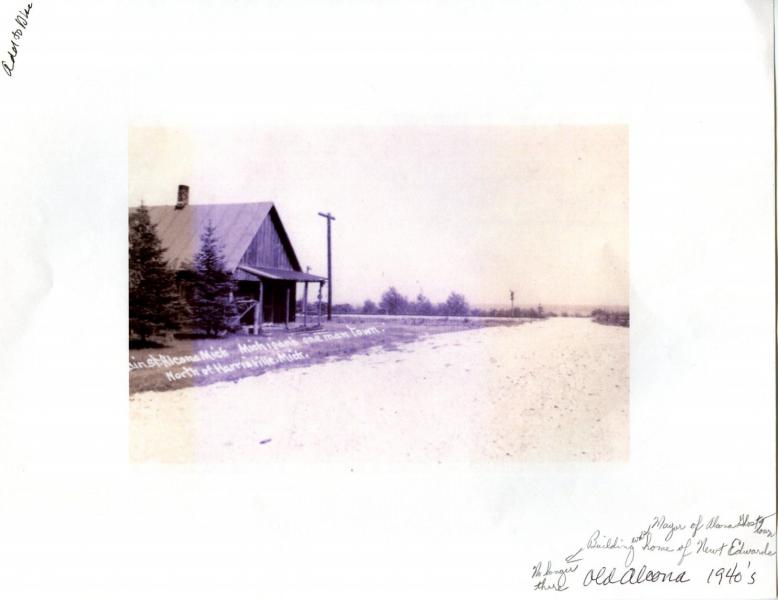 alcona_village.jpg