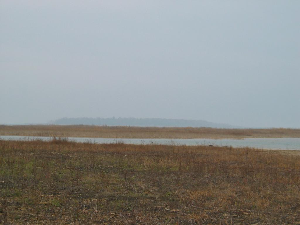alvar_shore_looking_at_sulphur_island.jpg