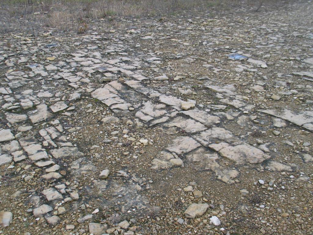 alvar_shoreline.jpg