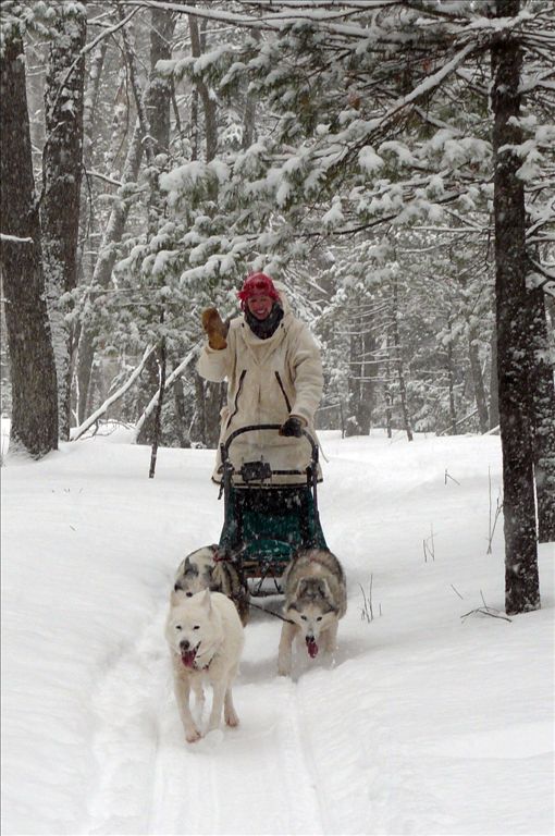 Dog sledding at Ocqueoc Falls