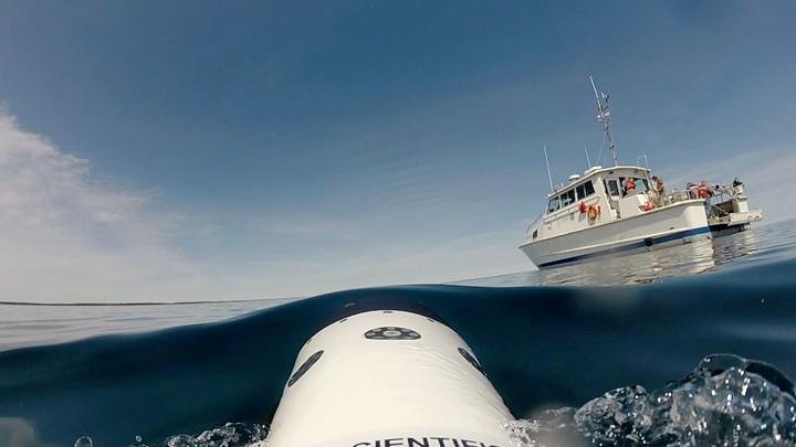 Autonomous underwater vehicle (AUV) returning from a mission to survey shipwrecks in Thunder Bay National Marine Sanctuary. Image/video courtesy of Machine Learning for Automated Detection of Shipwreck Sites from Large Area Robotic Surveys.