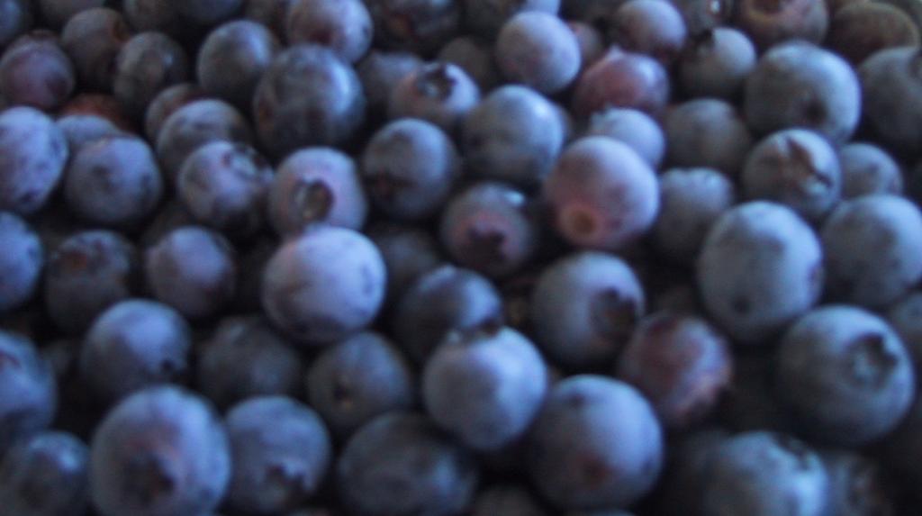 blue_berries.jpg