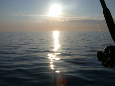bluebird_charters.jpg