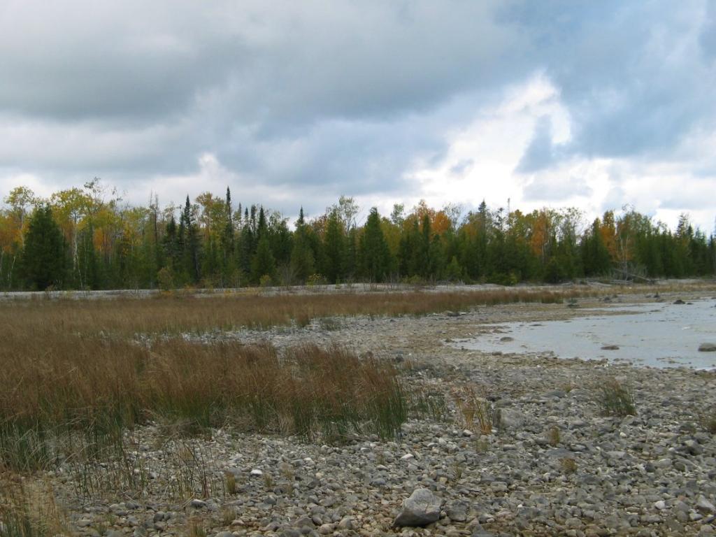 cobble_beach_at_thompsons_harbor_sp.jpg