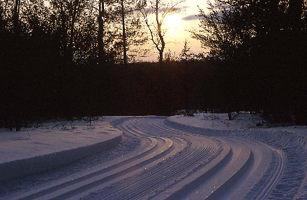corsairtrail.gif