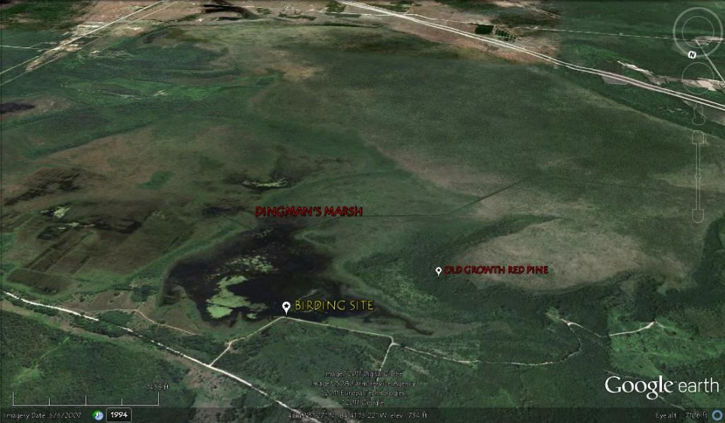 dingmans_marsh.jpg