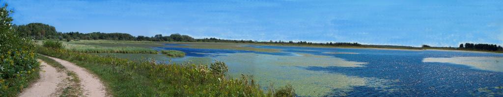 dingmans_marsh2.jpg