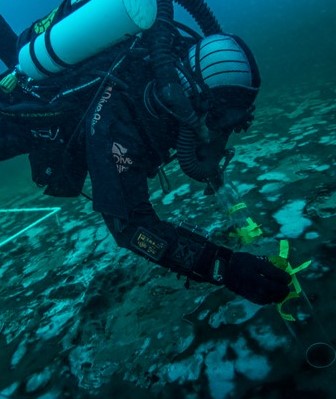 Diver in a sinkhole.