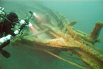 Diver investigates the bowsprit and cated anchors