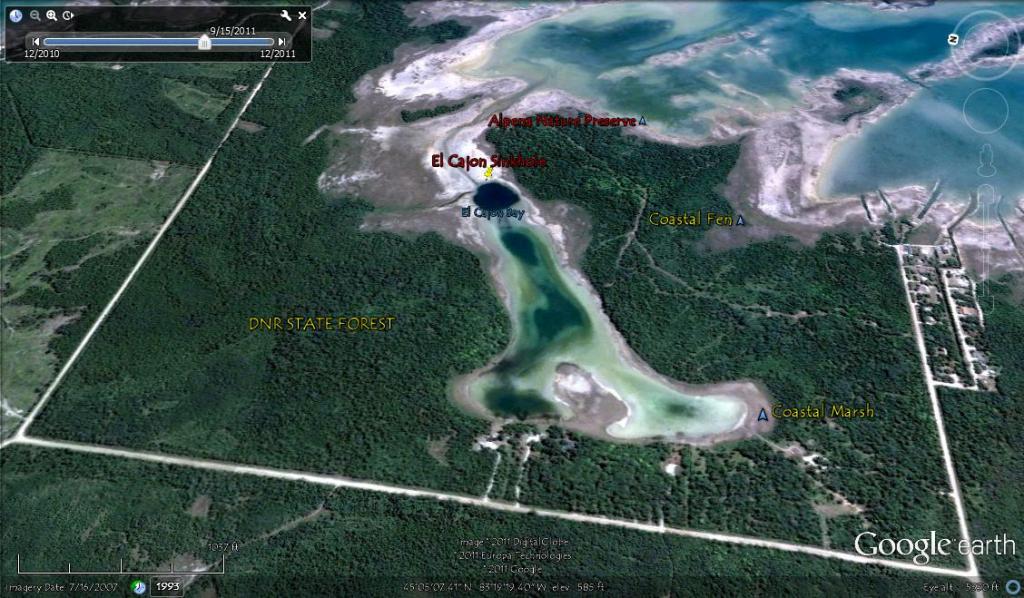 dnr_state_forest.jpg
