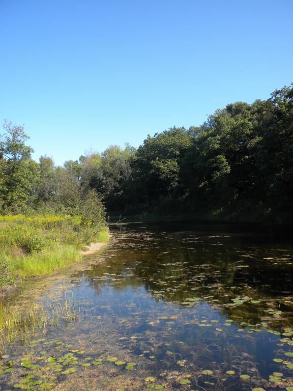 dscn0896.jpg