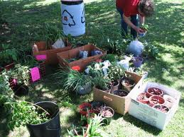 fall_plant_swap.png