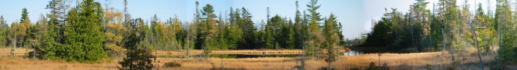 fen_panoramic.jpg