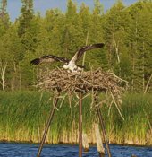 fletchers_landing2.jpg