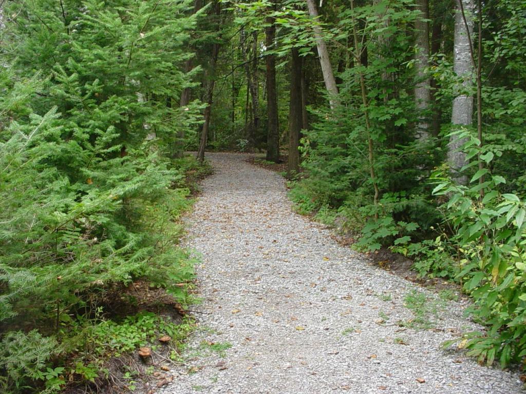 Wooded Trails at Harrisville State Park