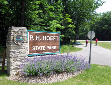 hoeft.jpg