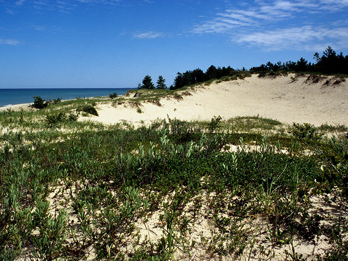 P.H. Hoeft State Park