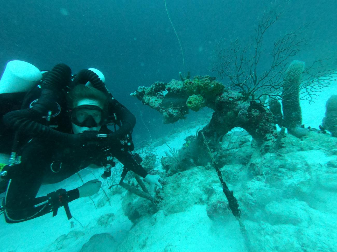 Kirstin Meyer-Kaiser at 70 m deep in Bonaire, next to a 19th-century anchor covered in sponges and sea fans
