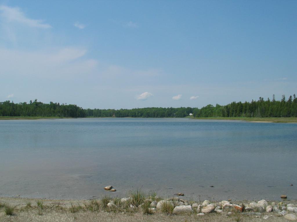 img_1865.jpg