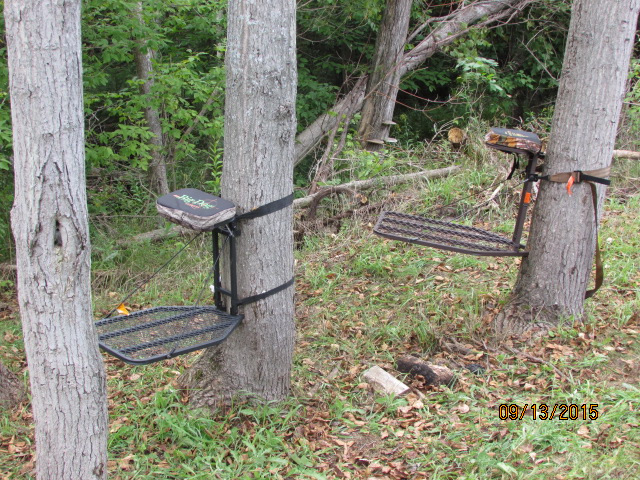 Treestands