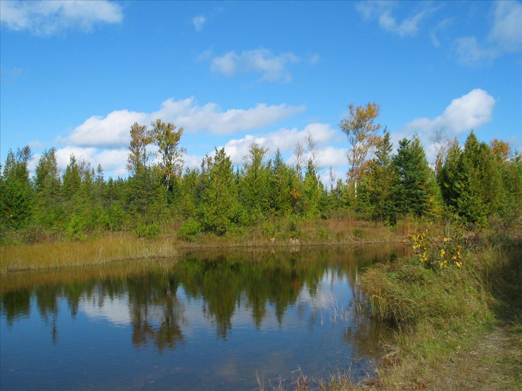 Thompson's Harbor State Park