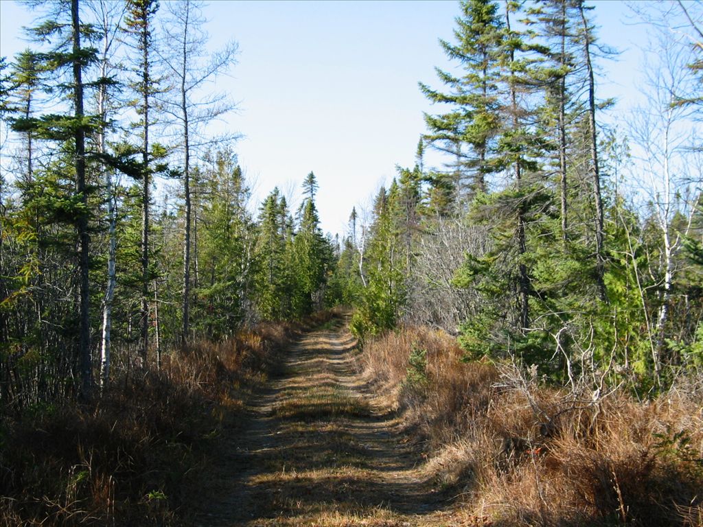 Thompson's Harbor State Park