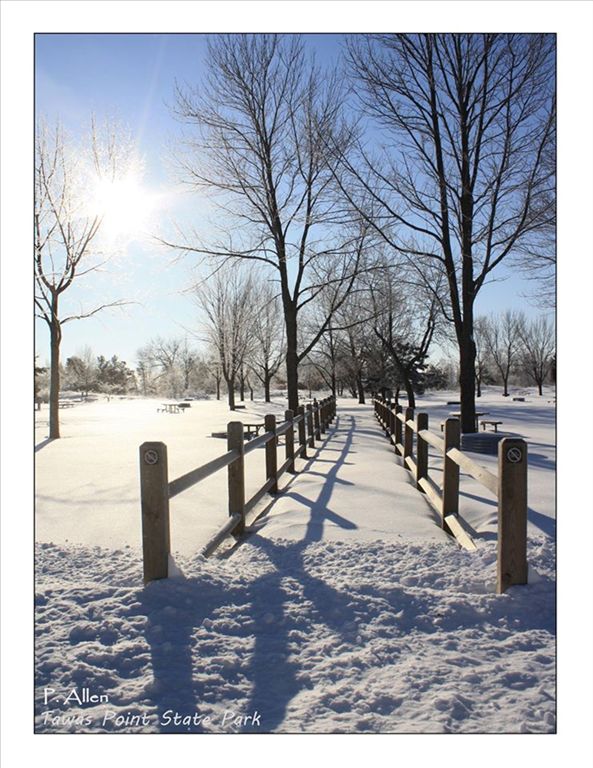 Tawas Point in winter