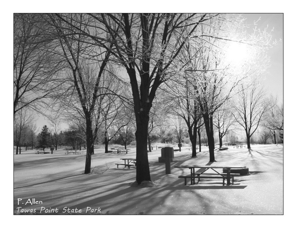 Tawas Point in winter