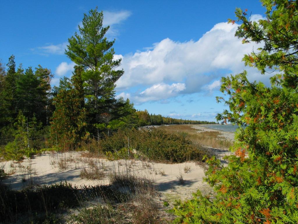 lake_huron_shore.jpg