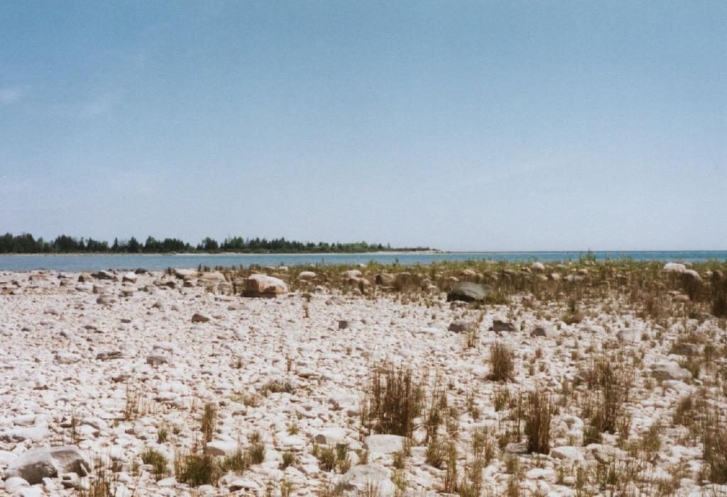 misery_bay_cobble_beach.jpg