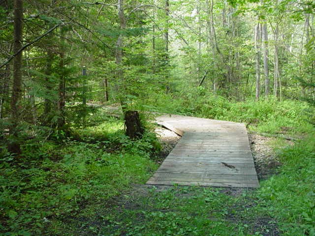 Boardwalk