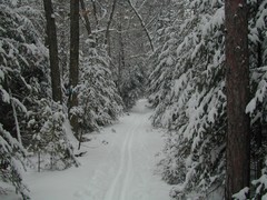 Highbanks Trail