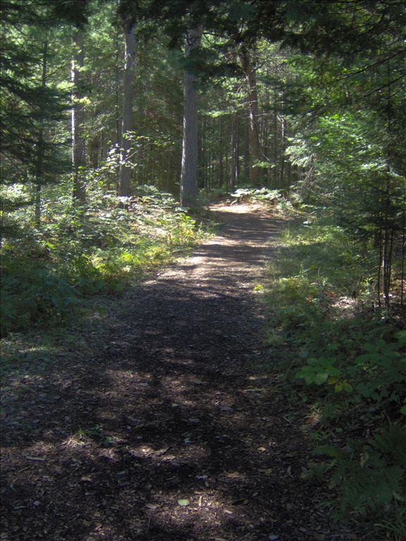 Norway Ridge Pathway