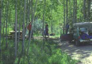 ossineke_sf_camp.jpg